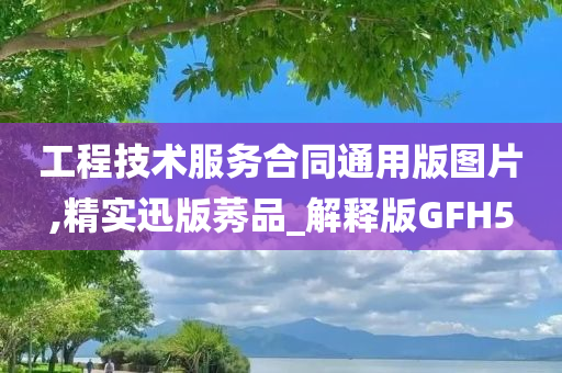 工程技术服务合同通用版图片,精实迅版莠品_解释版GFH5