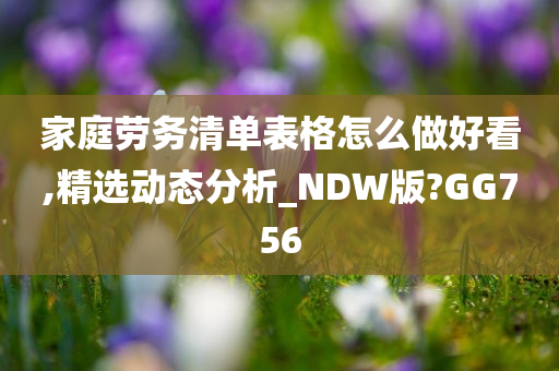 家庭劳务清单表格怎么做好看,精选动态分析_NDW版?GG756