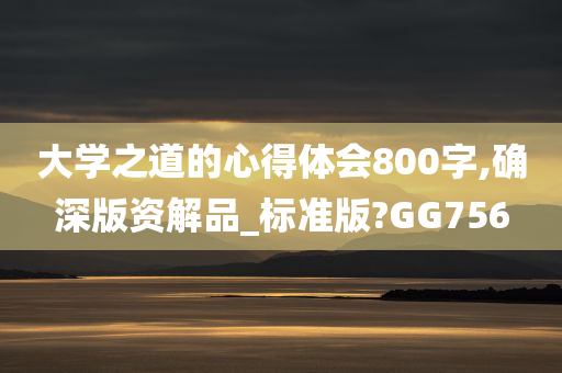 大学之道的心得体会800字,确深版资解品_标准版?GG756