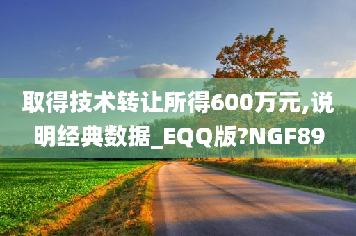 取得技术转让所得600万元,说明经典数据_EQQ版?NGF89