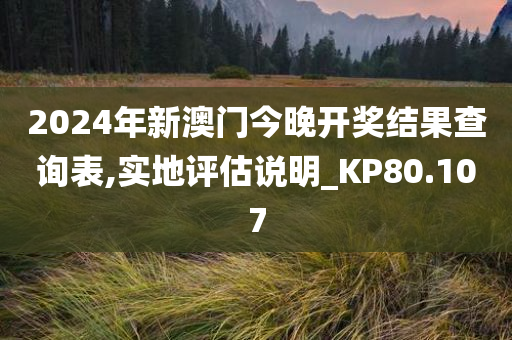 2024年新澳门今晚开奖结果查询表,实地评估说明_KP80.107