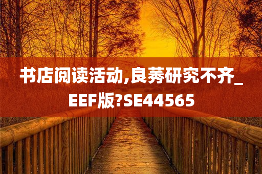 书店阅读活动,良莠研究不齐_EEF版?SE44565