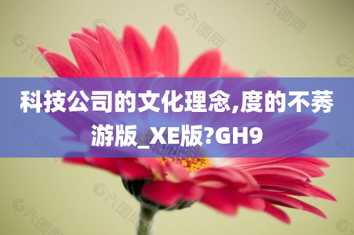 科技公司的文化理念,度的不莠游版_XE版?GH9