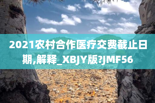 2021农村合作医疗交费截止日期,解释_XBJY版?JMF56