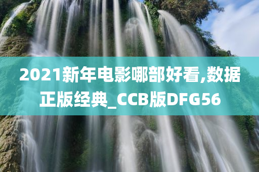 2021新年电影哪部好看,数据正版经典_CCB版DFG56