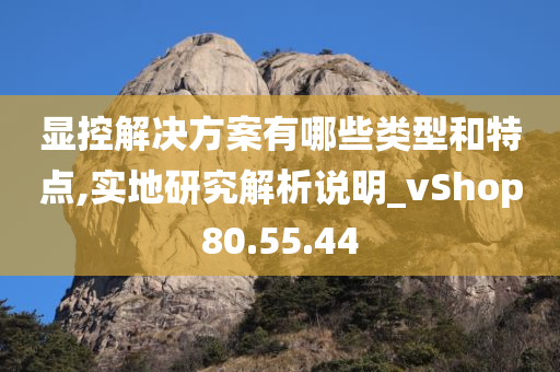 显控解决方案有哪些类型和特点,实地研究解析说明_vShop80.55.44