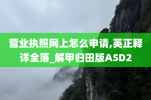 营业执照网上怎么申请,英正释详全落_解甲归田版ASD2