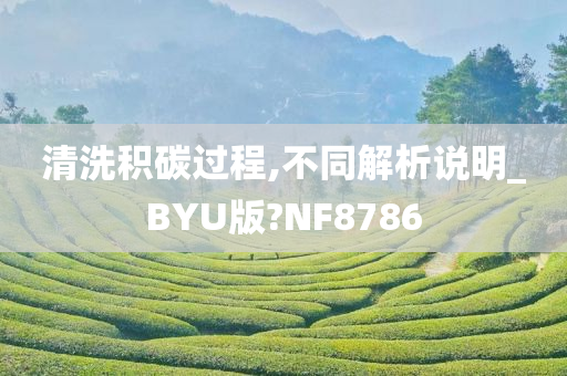 清洗积碳过程,不同解析说明_BYU版?NF8786