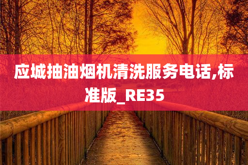 应城抽油烟机清洗服务电话,标准版_RE35