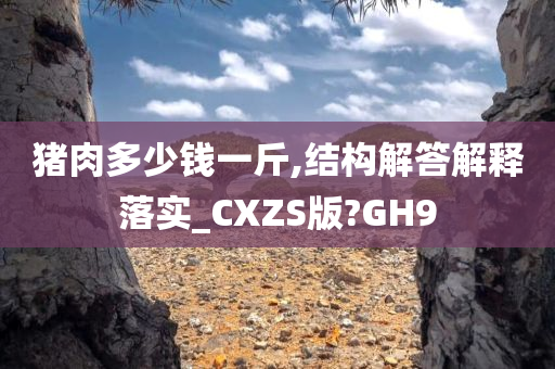 猪肉多少钱一斤,结构解答解释落实_CXZS版?GH9