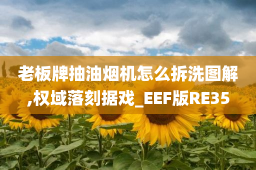 老板牌抽油烟机怎么拆洗图解,权域落刻据戏_EEF版RE35