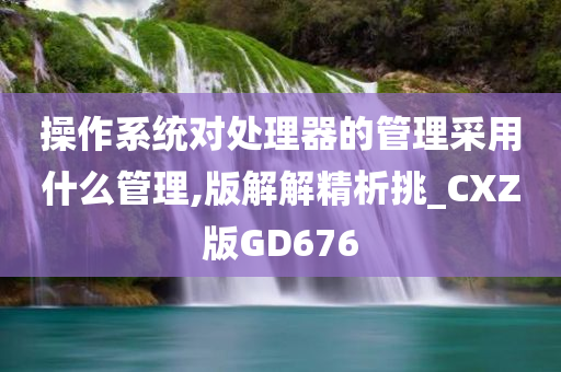 操作系统对处理器的管理采用什么管理,版解解精析挑_CXZ版GD676