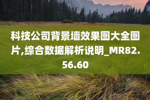 科技公司背景墙效果图大全图片,综合数据解析说明_MR82.56.60