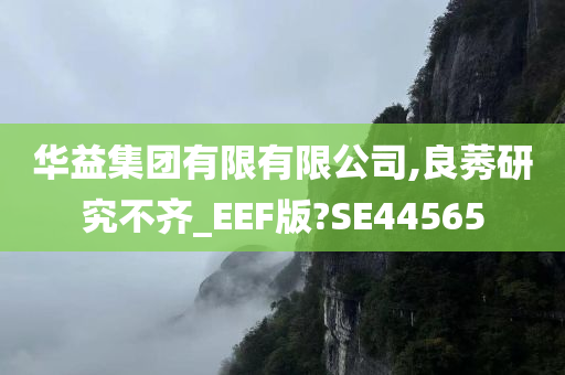 华益集团有限有限公司,良莠研究不齐_EEF版?SE44565