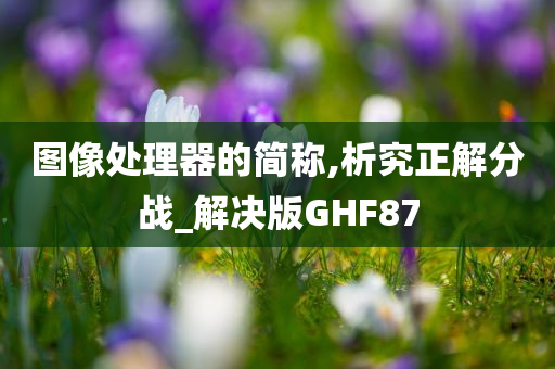 图像处理器的简称,析究正解分战_解决版GHF87