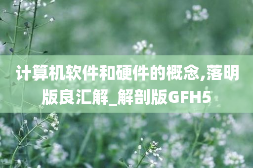 计算机软件和硬件的概念,落明版良汇解_解剖版GFH5