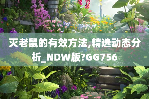 灭老鼠的有效方法,精选动态分析_NDW版?GG756