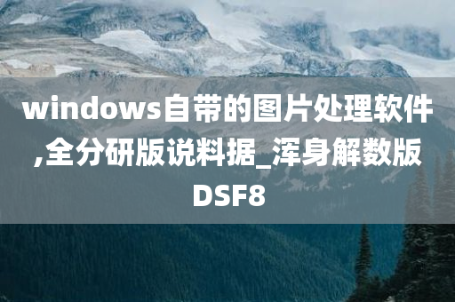 windows自带的图片处理软件,全分研版说料据_浑身解数版DSF8