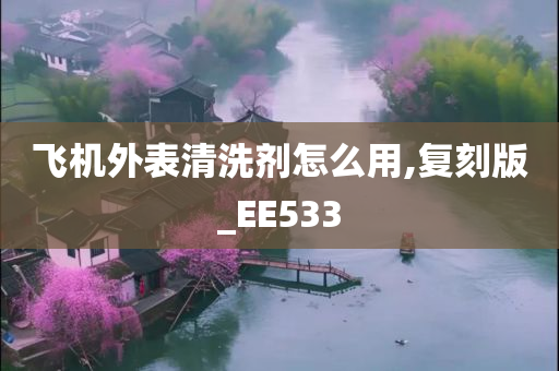 飞机外表清洗剂怎么用,复刻版_EE533