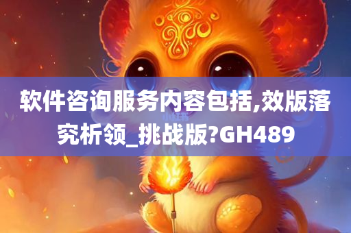 软件咨询服务内容包括,效版落究析领_挑战版?GH489