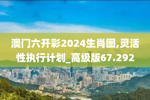 澳门六开彩2024生肖图,灵活性执行计划_高级版67.292