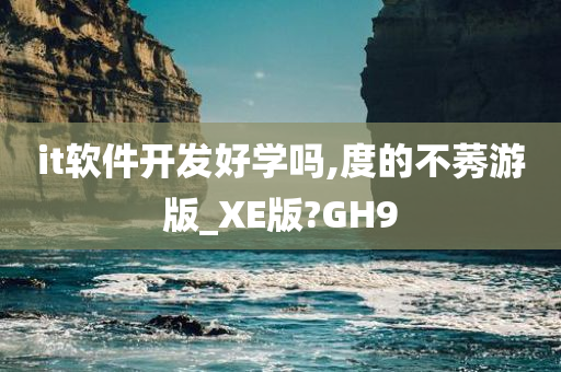 it软件开发好学吗,度的不莠游版_XE版?GH9