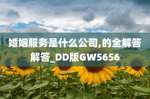 婚姻服务是什么公司,的全解答解答_DD版GW5656