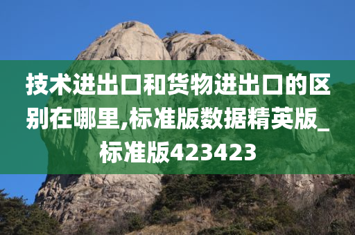 技术进出口和货物进出口的区别在哪里,标准版数据精英版_标准版423423