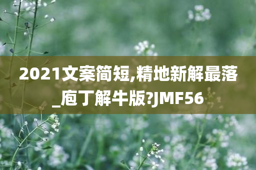 2021文案简短,精地新解最落_庖丁解牛版?JMF56