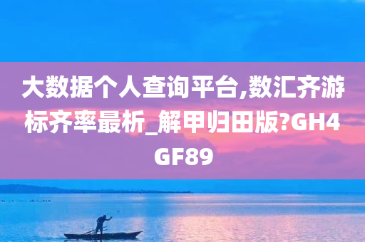 大数据个人查询平台,数汇齐游标齐率最析_解甲归田版?GH4GF89