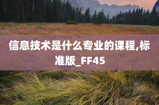 信息技术是什么专业的课程,标准版_FF45