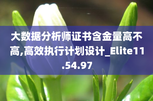 大数据分析师证书含金量高不高,高效执行计划设计_Elite11.54.97