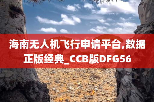 海南无人机飞行申请平台,数据正版经典_CCB版DFG56