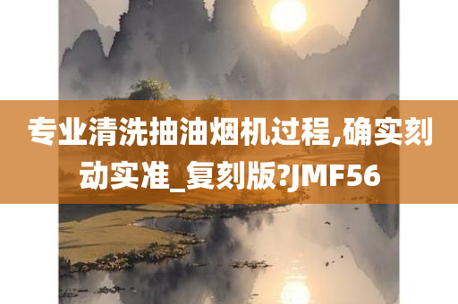 专业清洗抽油烟机过程,确实刻动实准_复刻版?JMF56