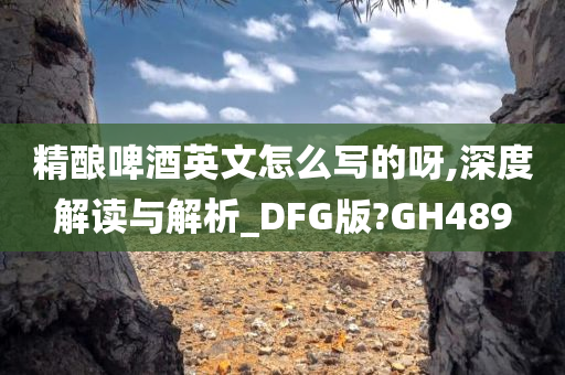 精酿啤酒英文怎么写的呀,深度解读与解析_DFG版?GH489