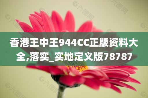 香港王中王944CC正版资料大全,落实_实地定义版78787