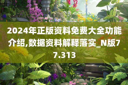 2024年正版资料免费大全功能介绍,数据资料解释落实_N版77.313