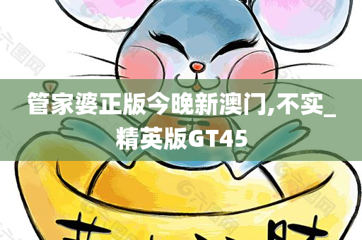 管家婆正版今晚新澳门,不实_精英版GT45