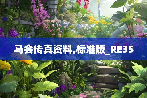 马会传真资料,标准版_RE35