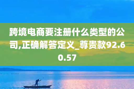 跨境电商要注册什么类型的公司,正确解答定义_尊贵款92.60.57