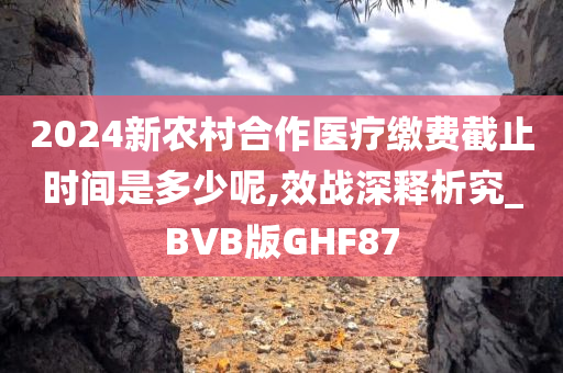 2024新农村合作医疗缴费截止时间是多少呢,效战深释析究_BVB版GHF87