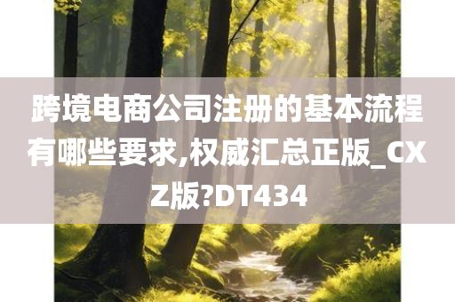 跨境电商公司注册的基本流程有哪些要求,权威汇总正版_CXZ版?DT434