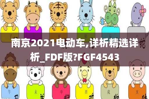 南京2021电动车,详析精选详析_FDF版?FGF4543