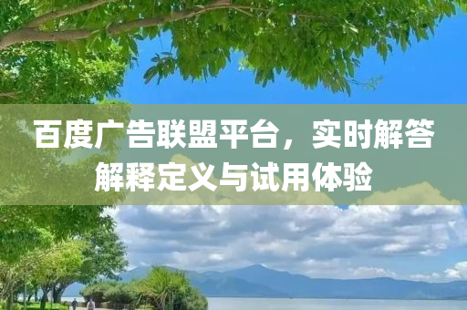 百度广告联盟平台，实时解答解释定义与试用体验