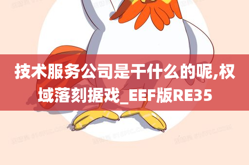 技术服务公司是干什么的呢,权域落刻据戏_EEF版RE35