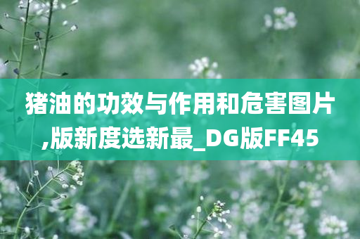 猪油的功效与作用和危害图片,版新度选新最_DG版FF45