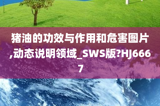 猪油的功效与作用和危害图片,动态说明领域_SWS版?HJ6667