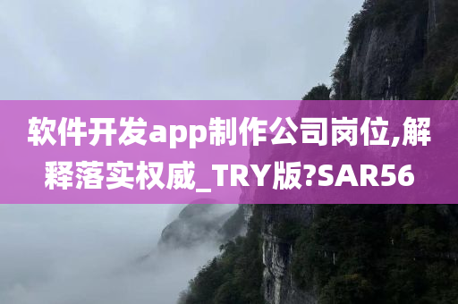 软件开发app制作公司岗位,解释落实权威_TRY版?SAR56