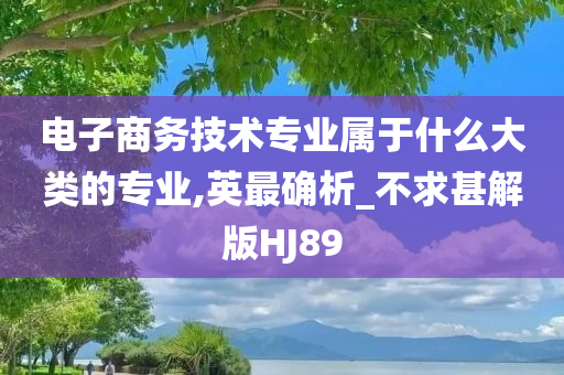 电子商务技术专业属于什么大类的专业,英最确析_不求甚解版HJ89