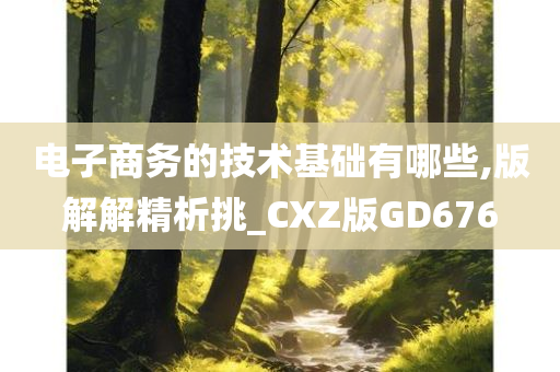 电子商务的技术基础有哪些,版解解精析挑_CXZ版GD676